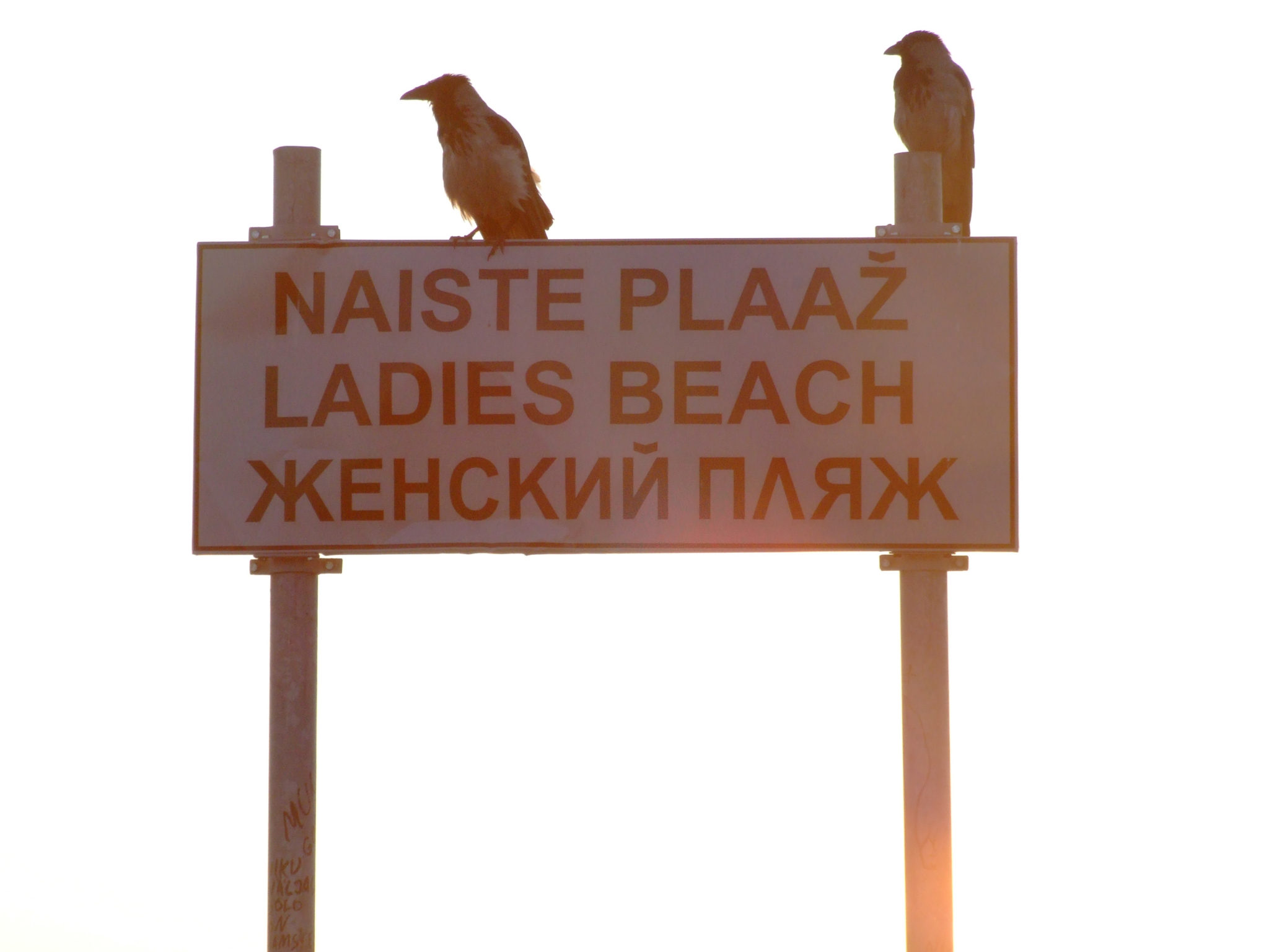 Ladies Beach..dove gli uccelli possono solo guardare..