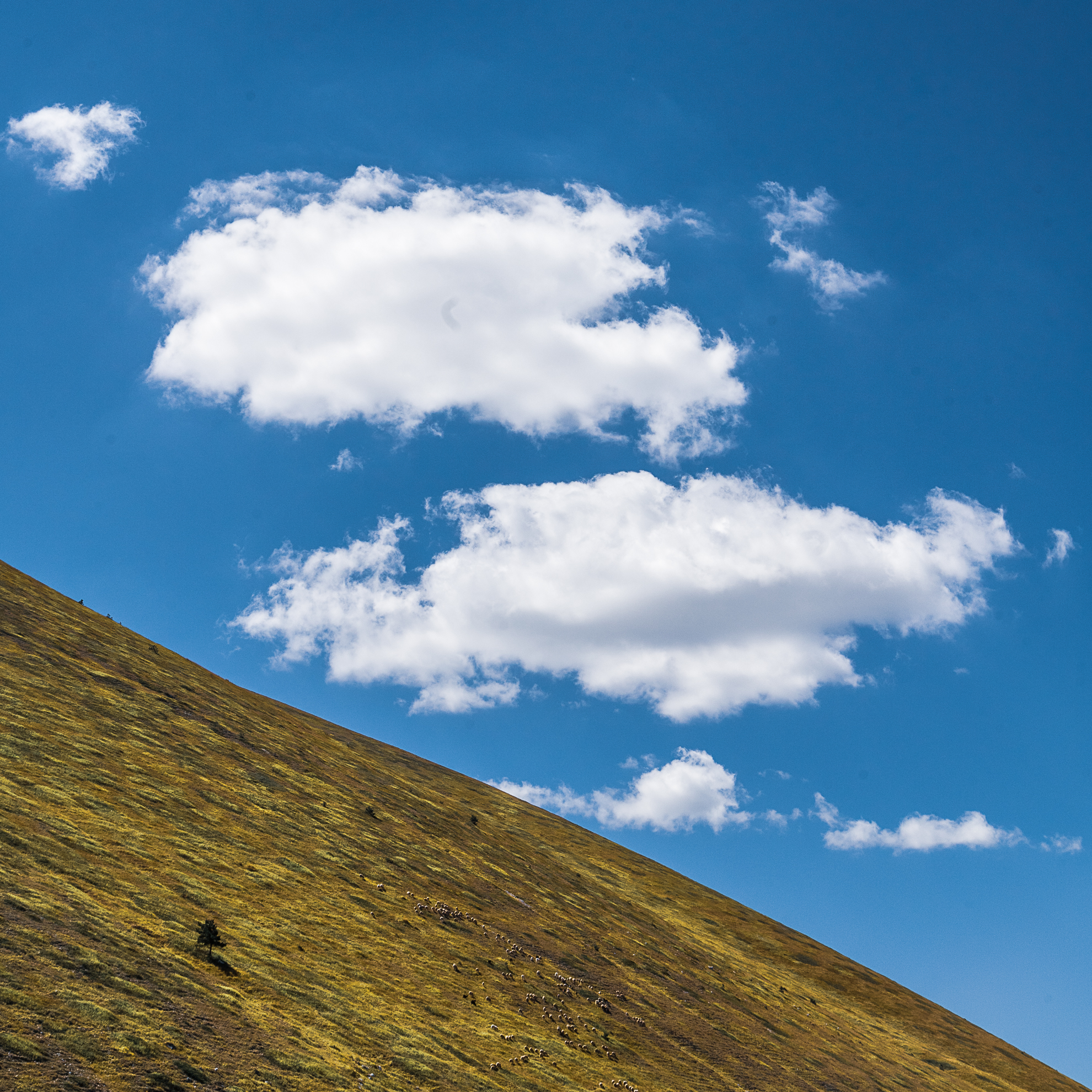 Campo Imperatore